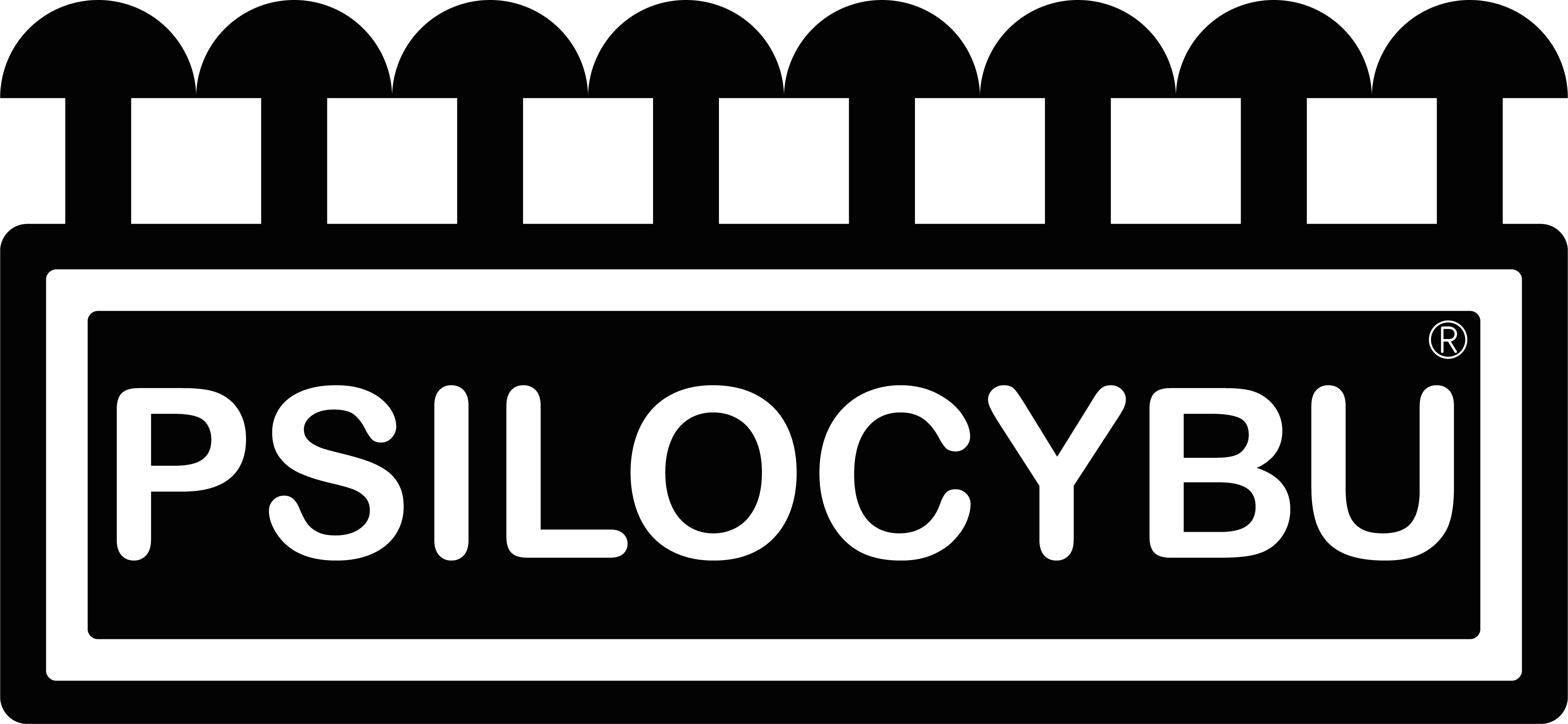 Logo de Mercado Pago