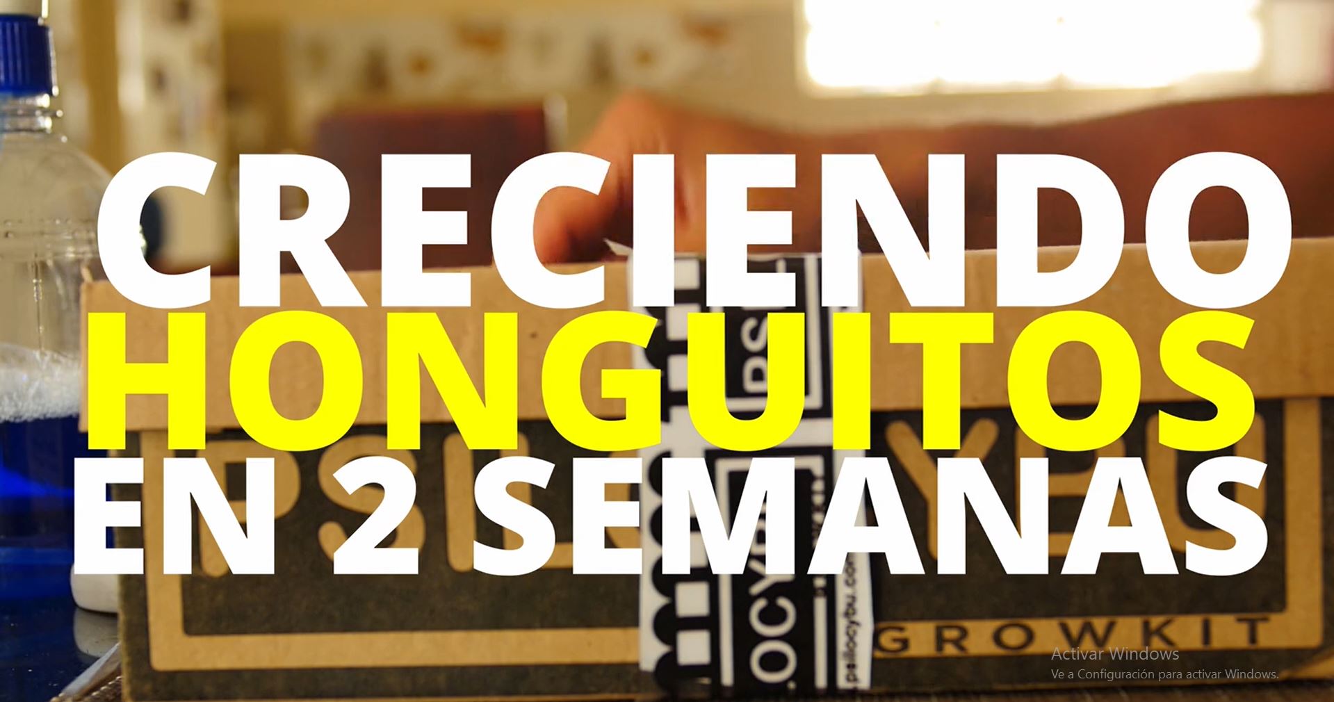 Miniatura del video: Cuidados y Fructificación